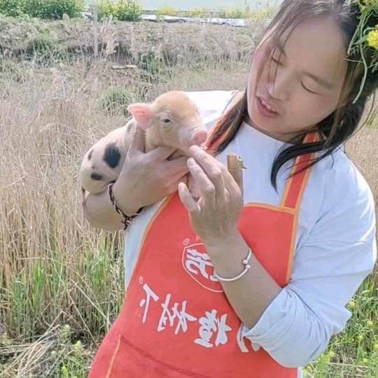 素素姐