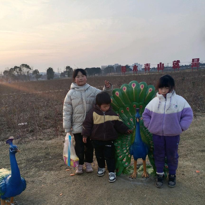 受伤的总是女人
