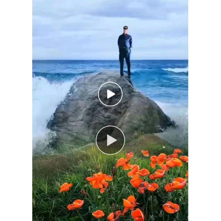 🌴一帆风顺🌺
