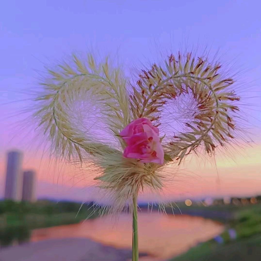 幕墙玻璃铝板