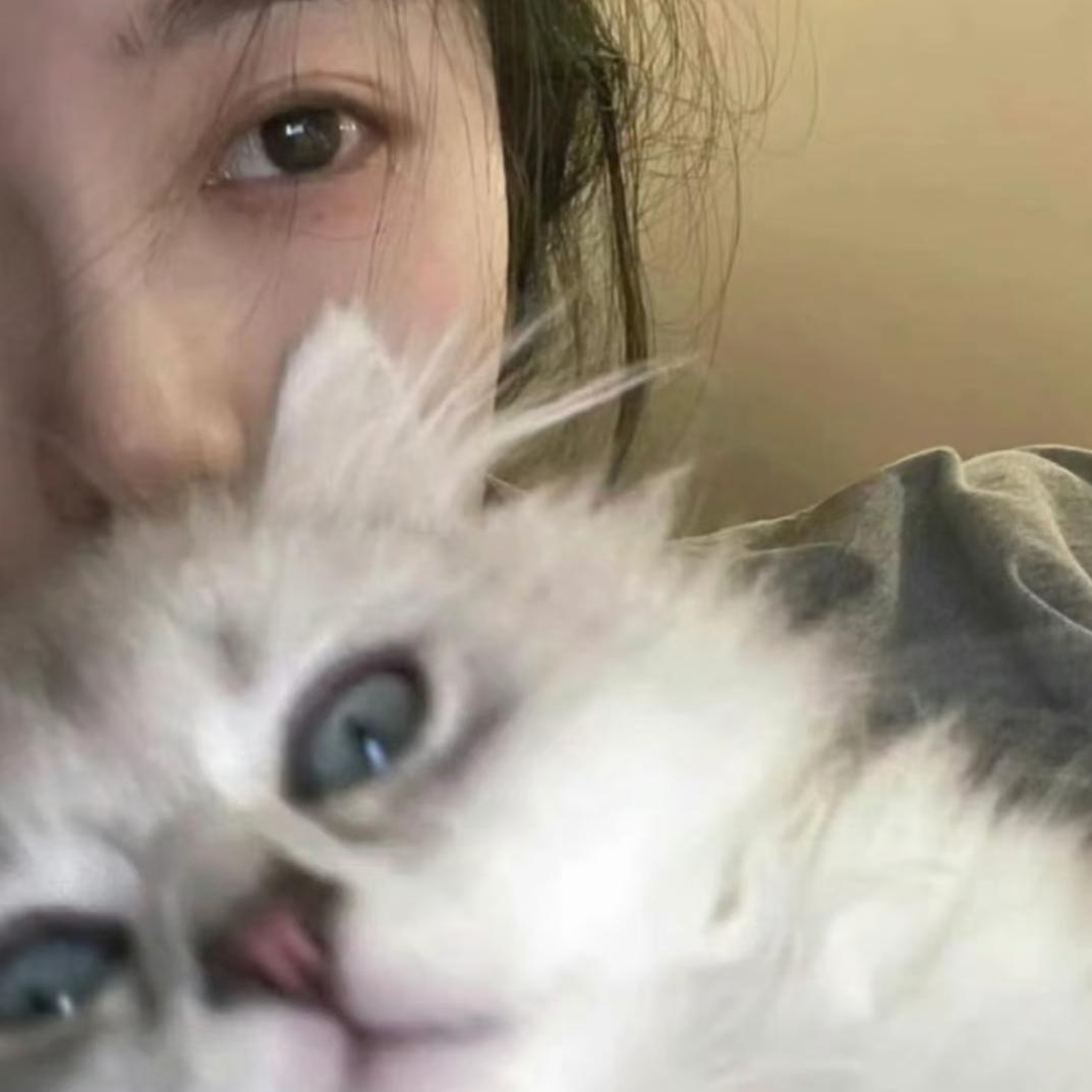 么凹猫🐱