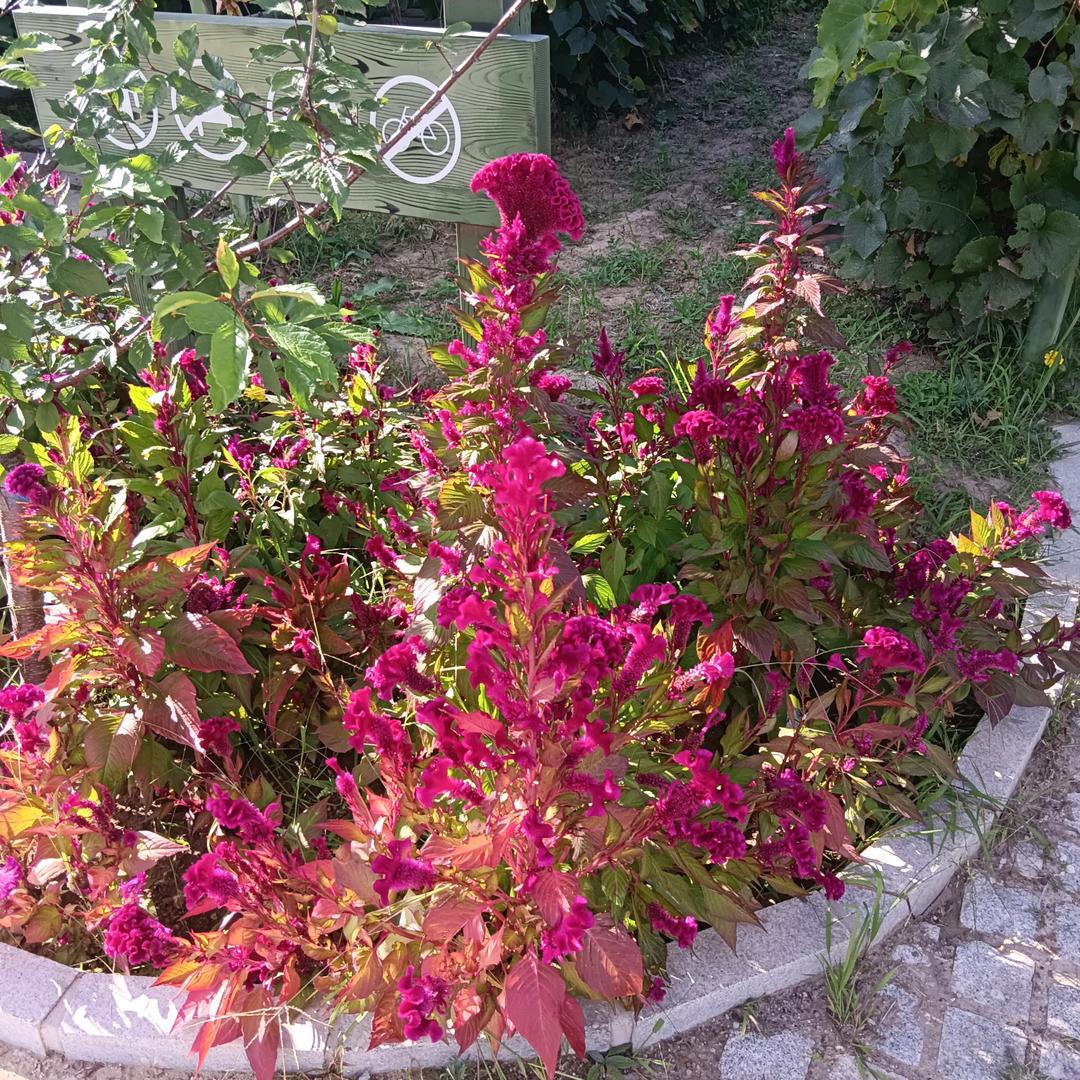 前世缘，今生定！