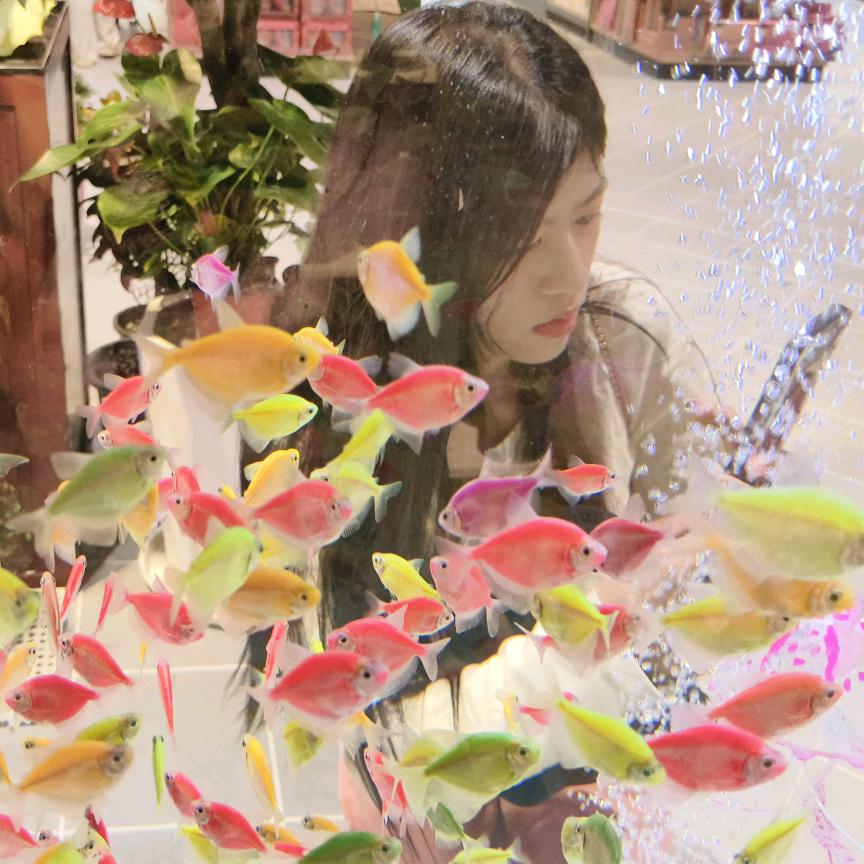 serendipity~~