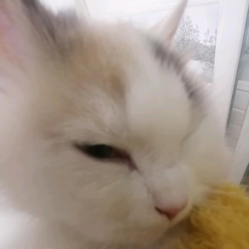 WWWWWWWxy
