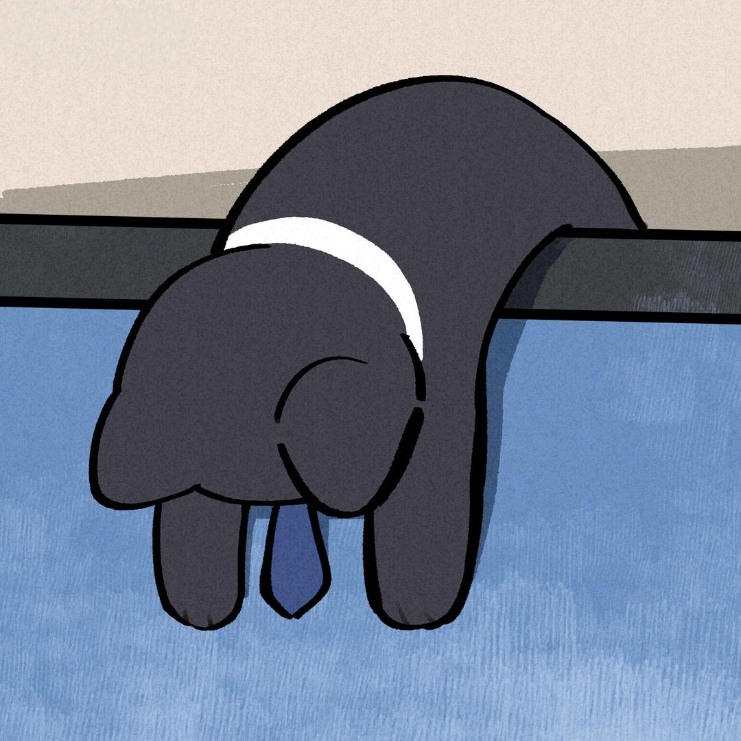 𝕮·进و ̑̑🦋