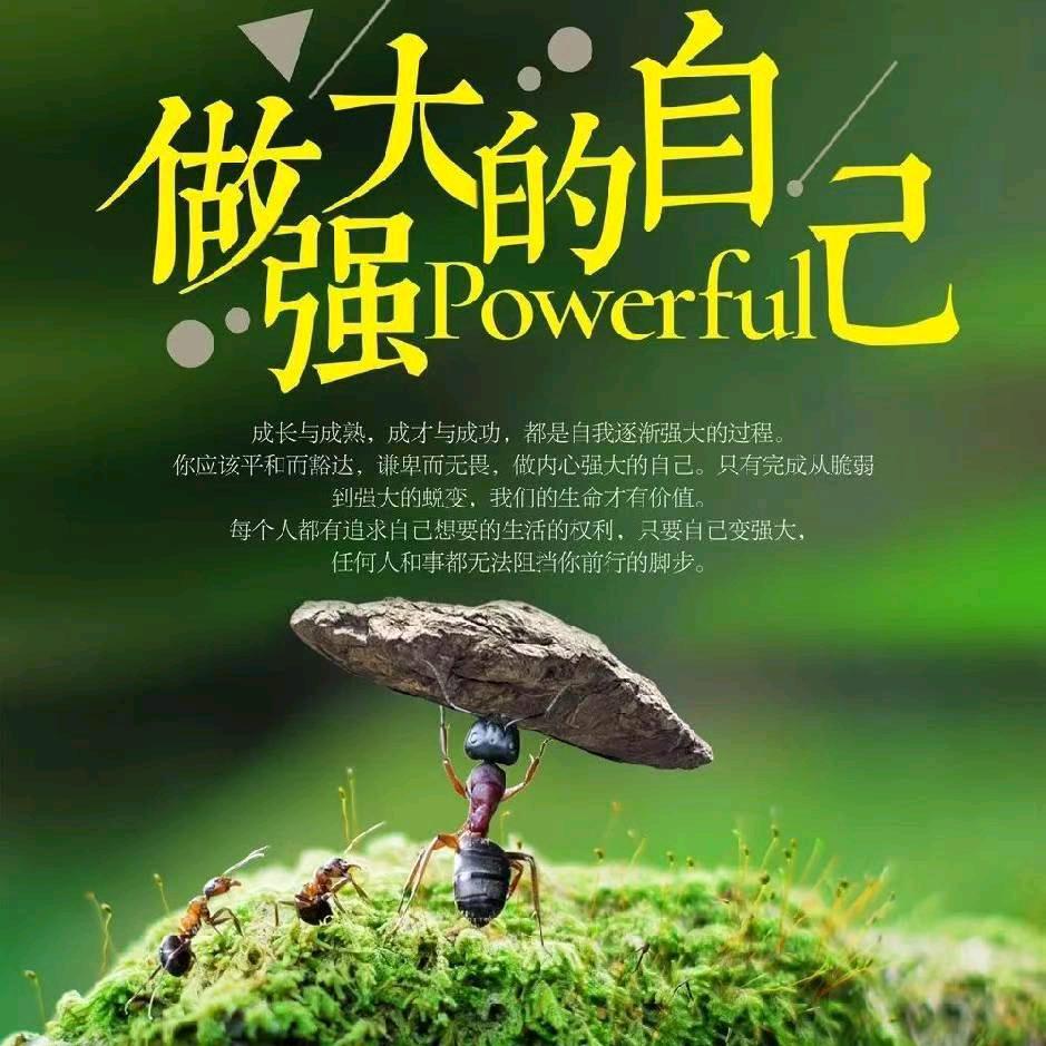 星星
