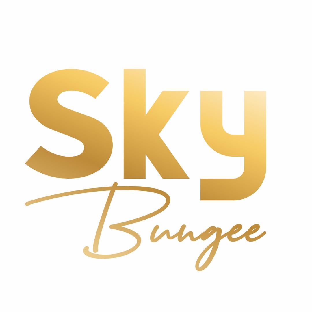 Sky Bungee室内蹦极官方号