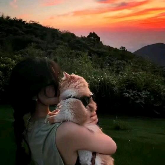 𝑨𝒖𝒓𝒐𝒓𝒂