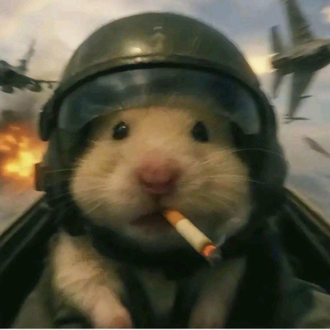 1299