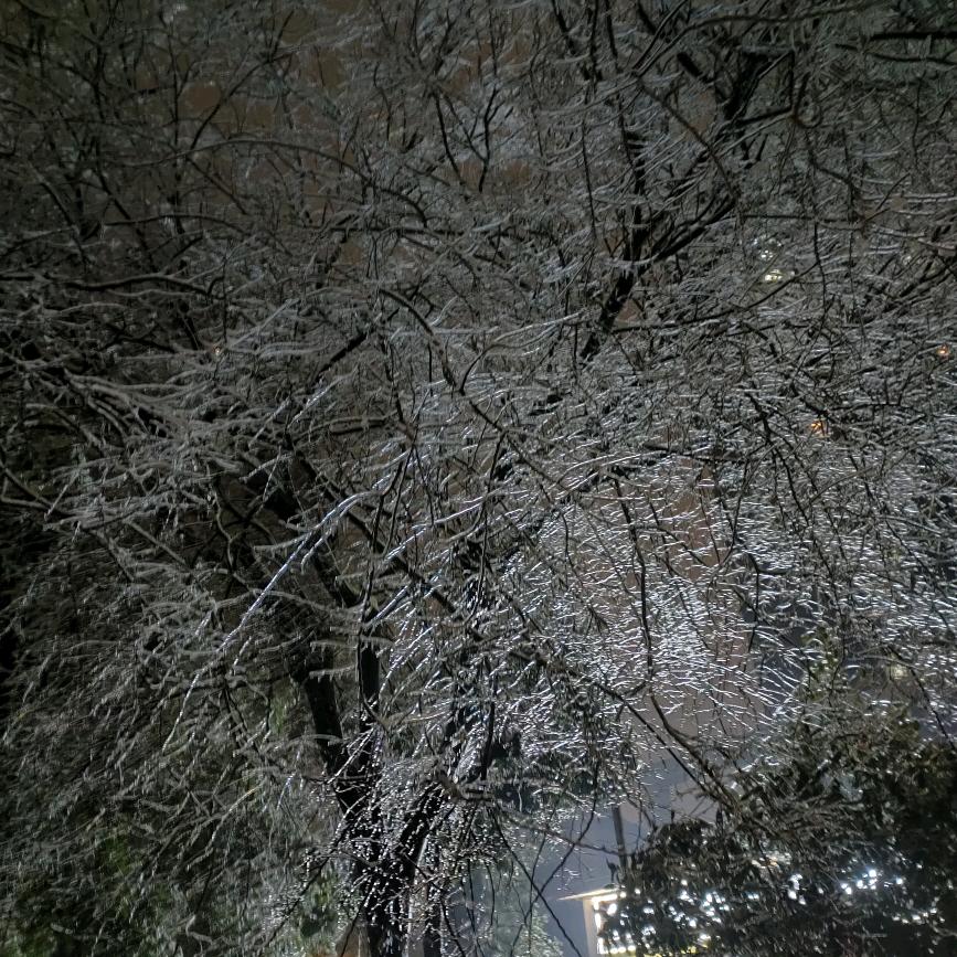 用户8121451207148贵在坚持