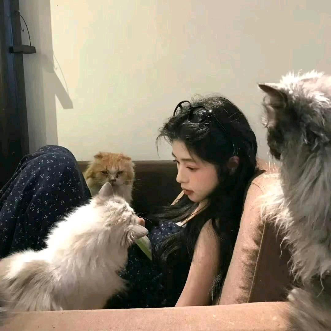呆小孩