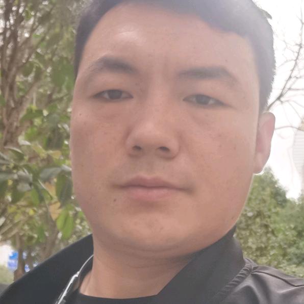 龍ZHEN