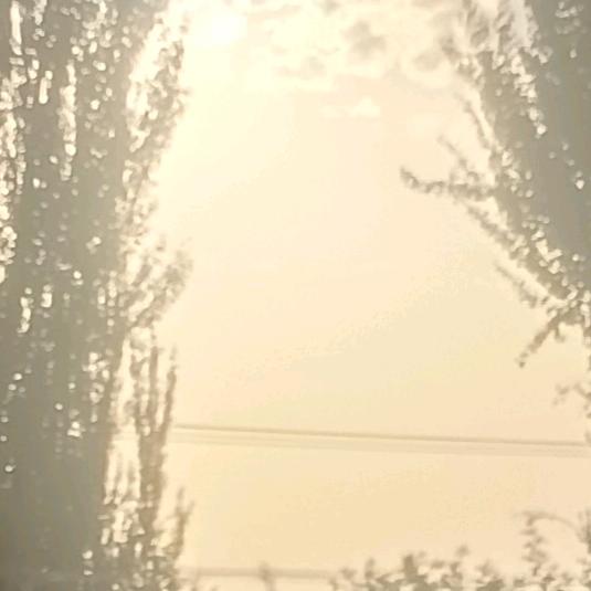 林清雪
