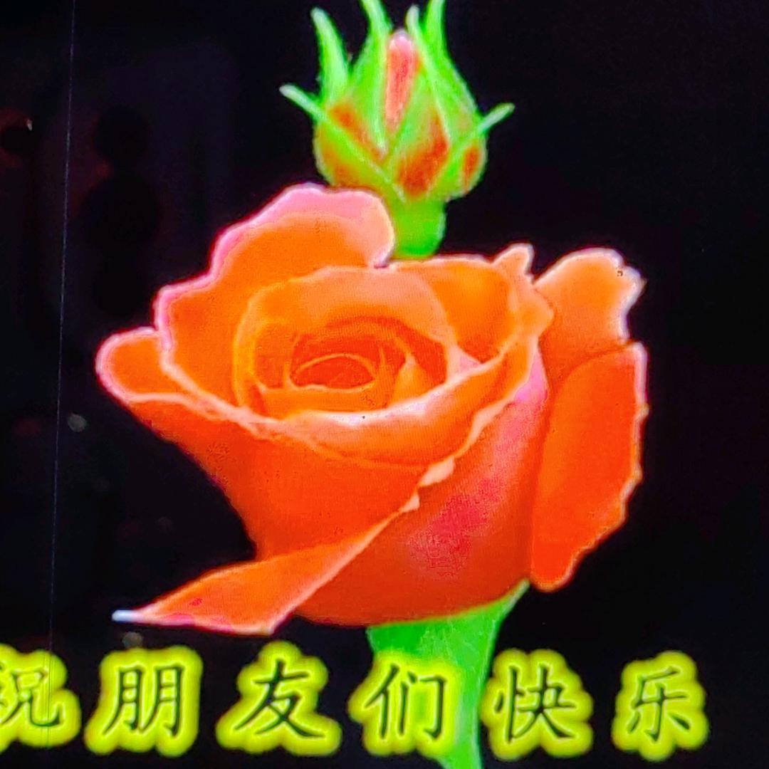 时光如梦