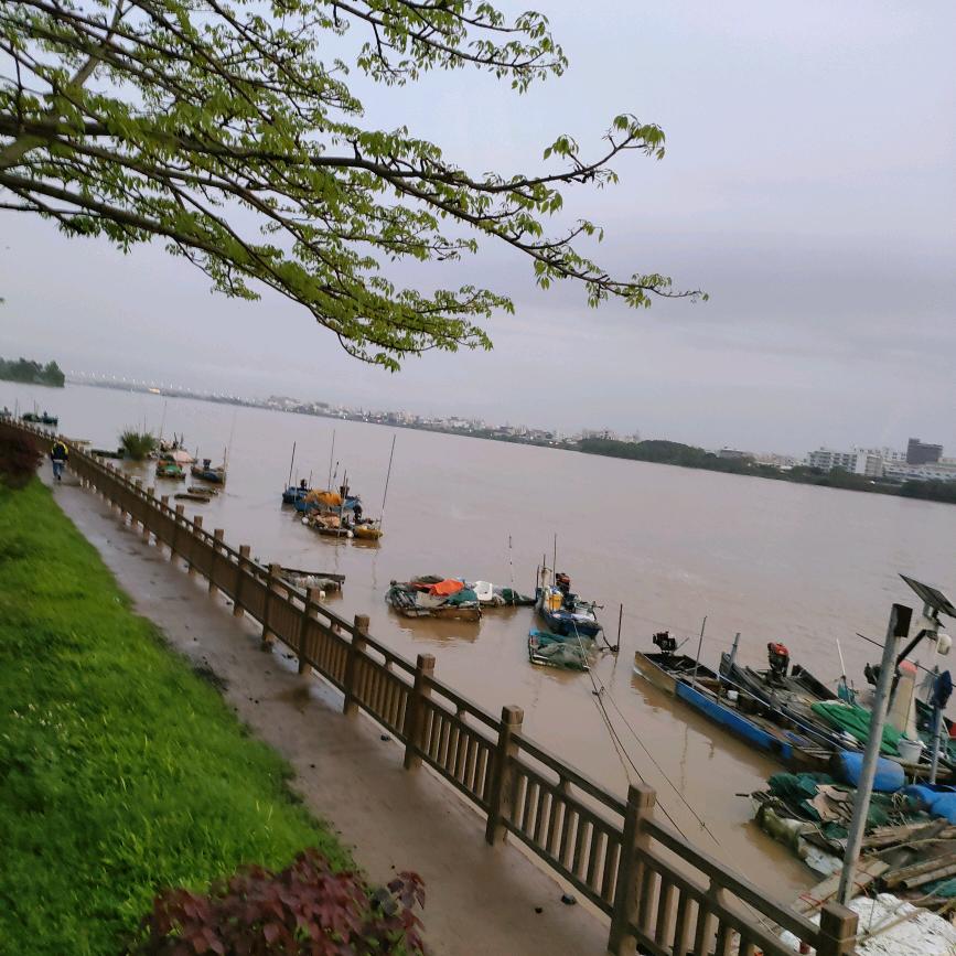 来也匆匆去也匆匆