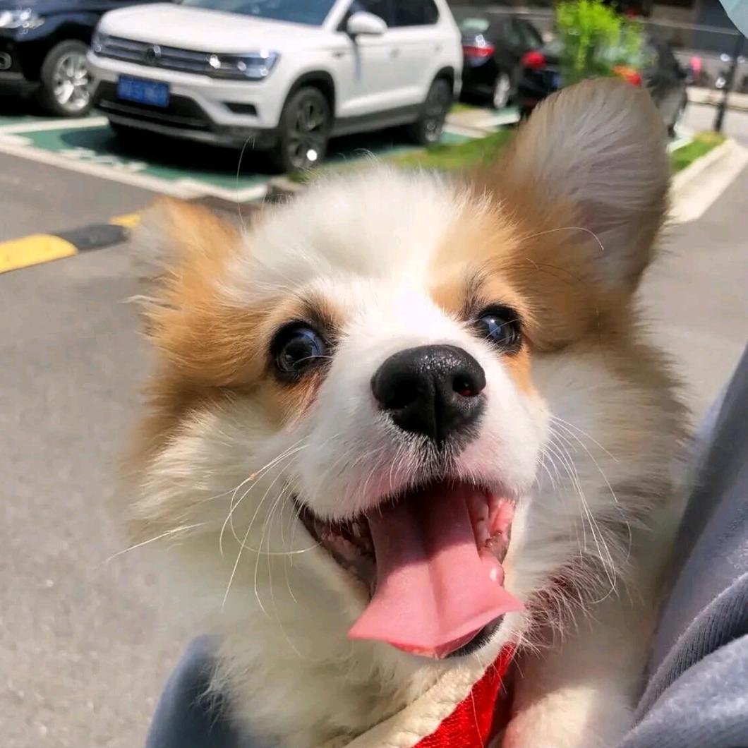 阿飞