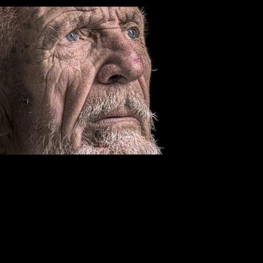 人生得意须尽欢