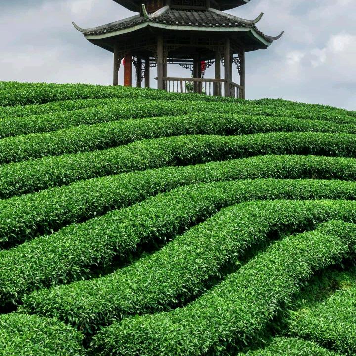 哼啥的
