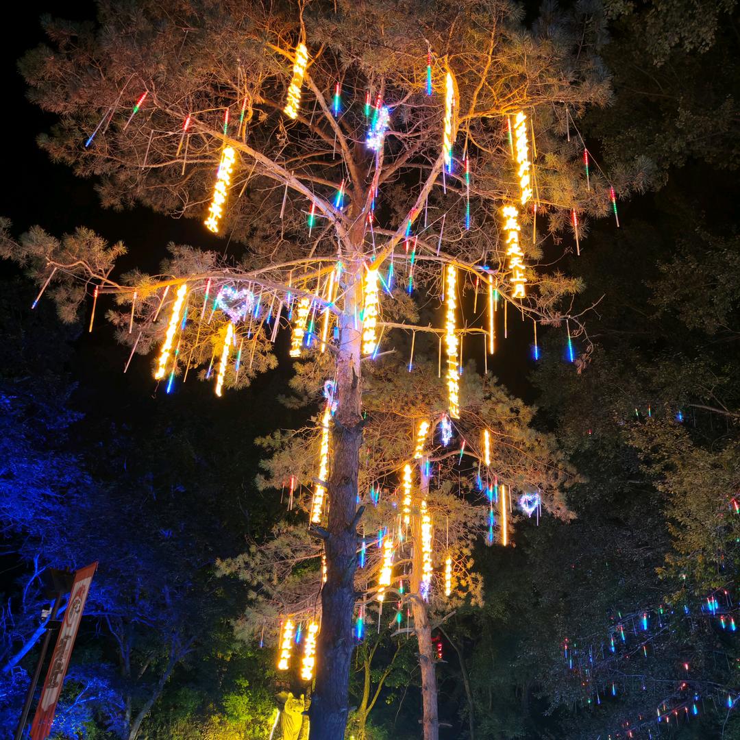 A 🇨🇳 手握風雲 💎