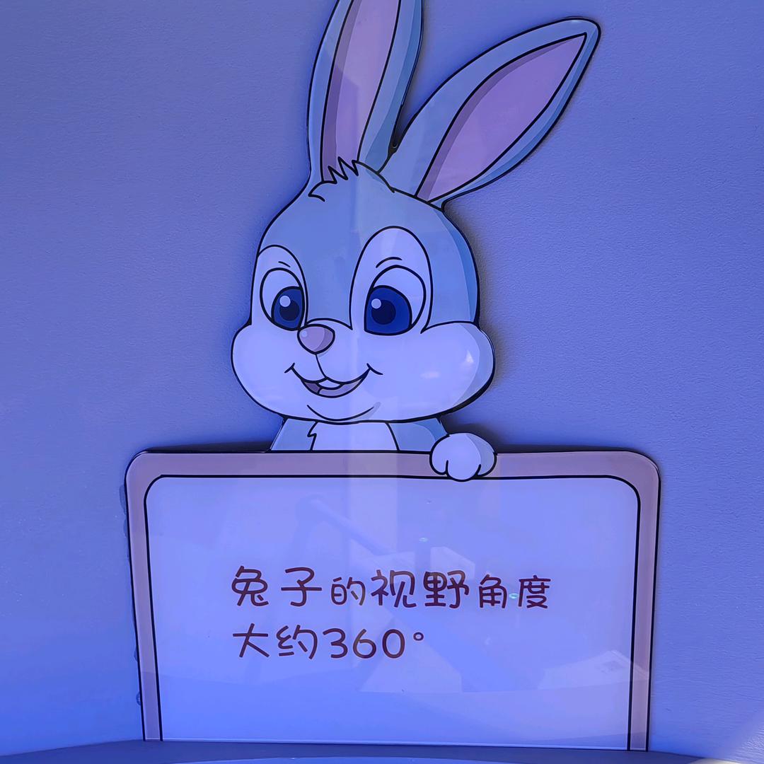 兔子🐰久久