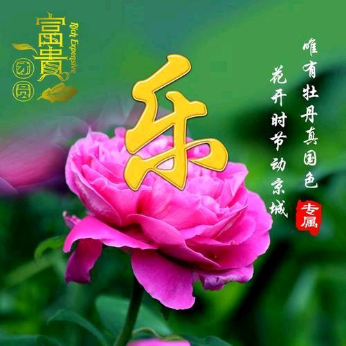 平安。慈悲，善良。