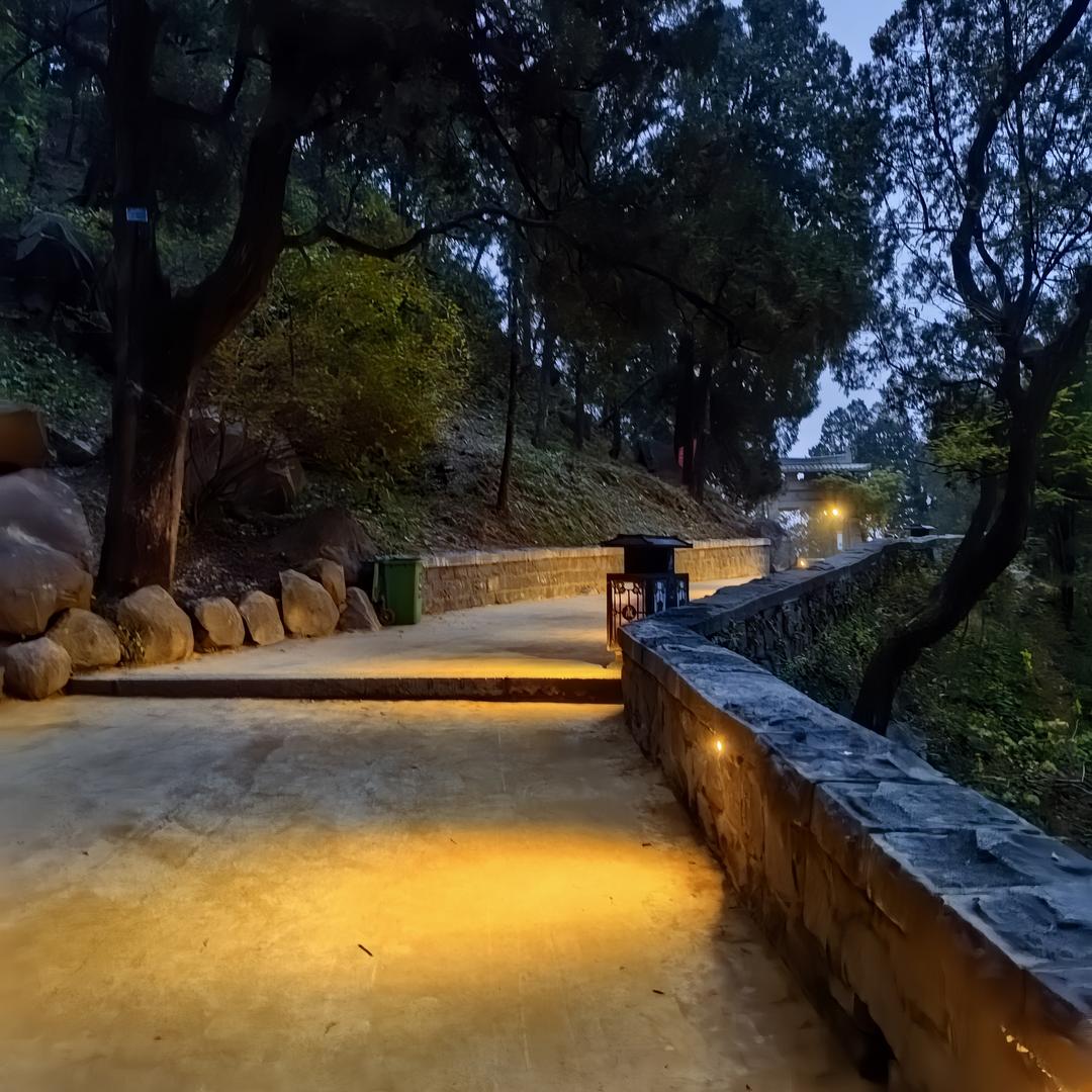 陈东波