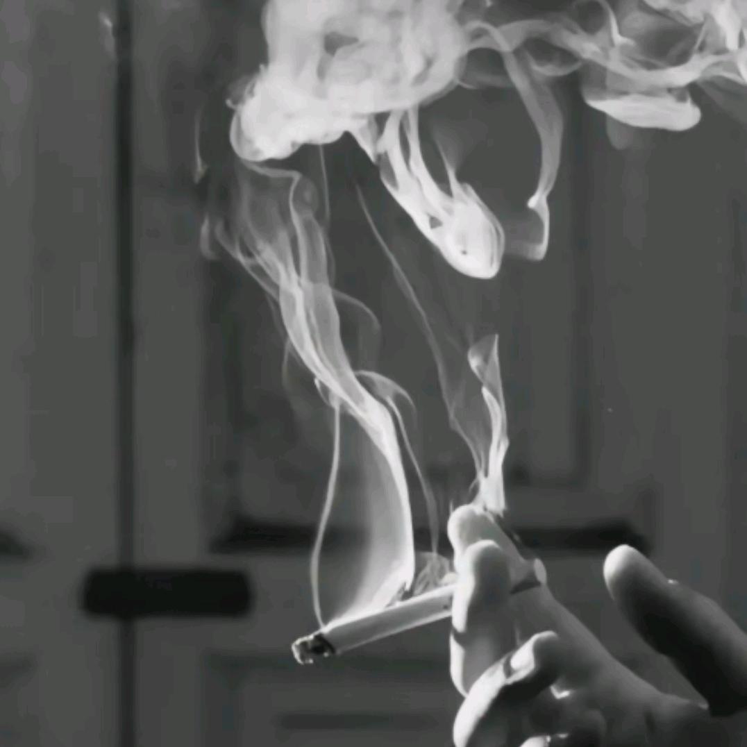 柠檬8🍬