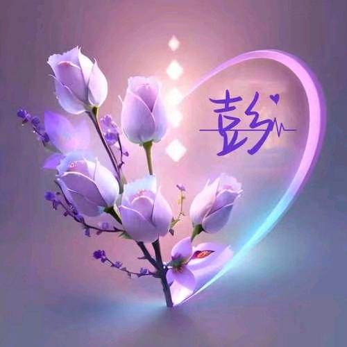 秋风如梦¹¹¹³