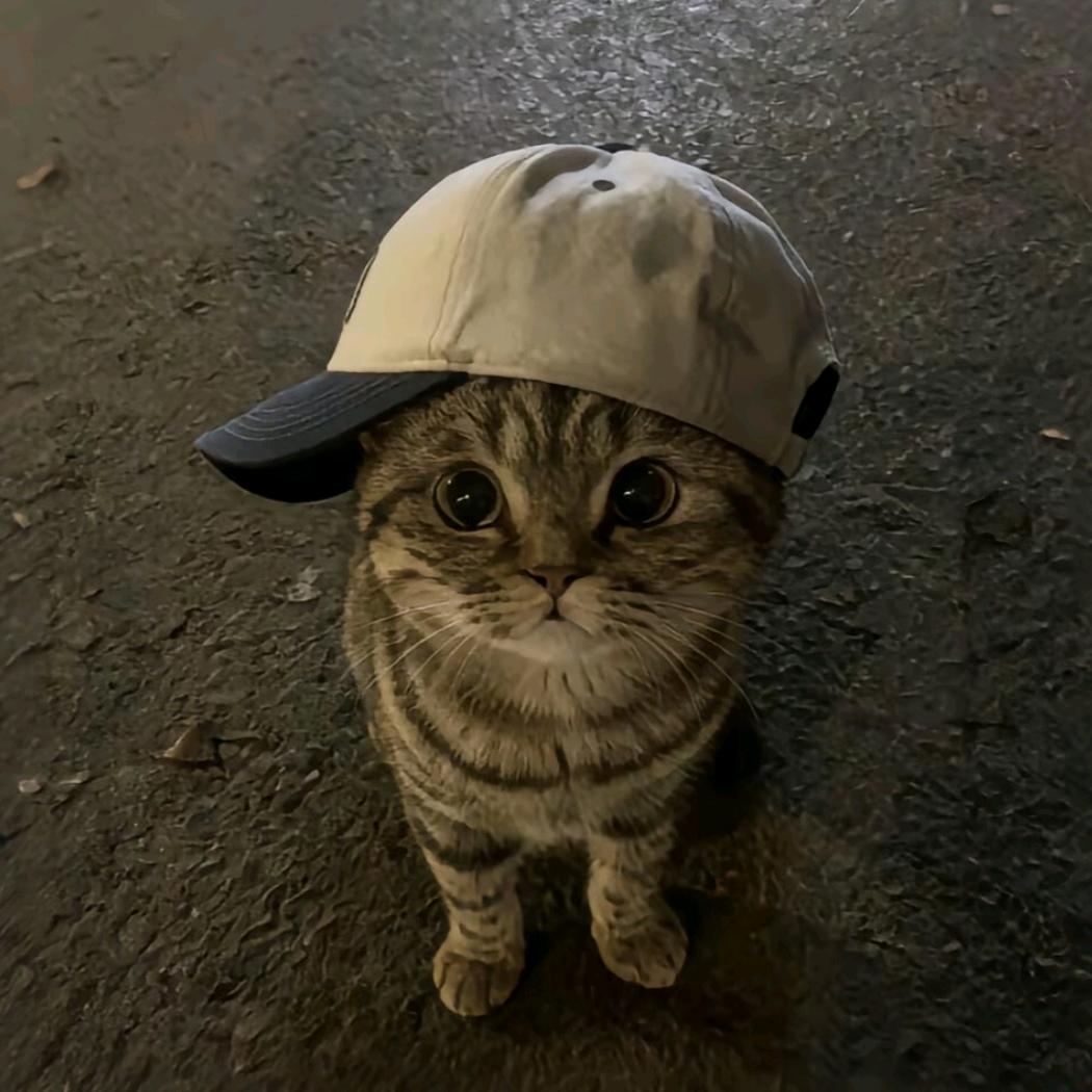 我跟他厕底结树了