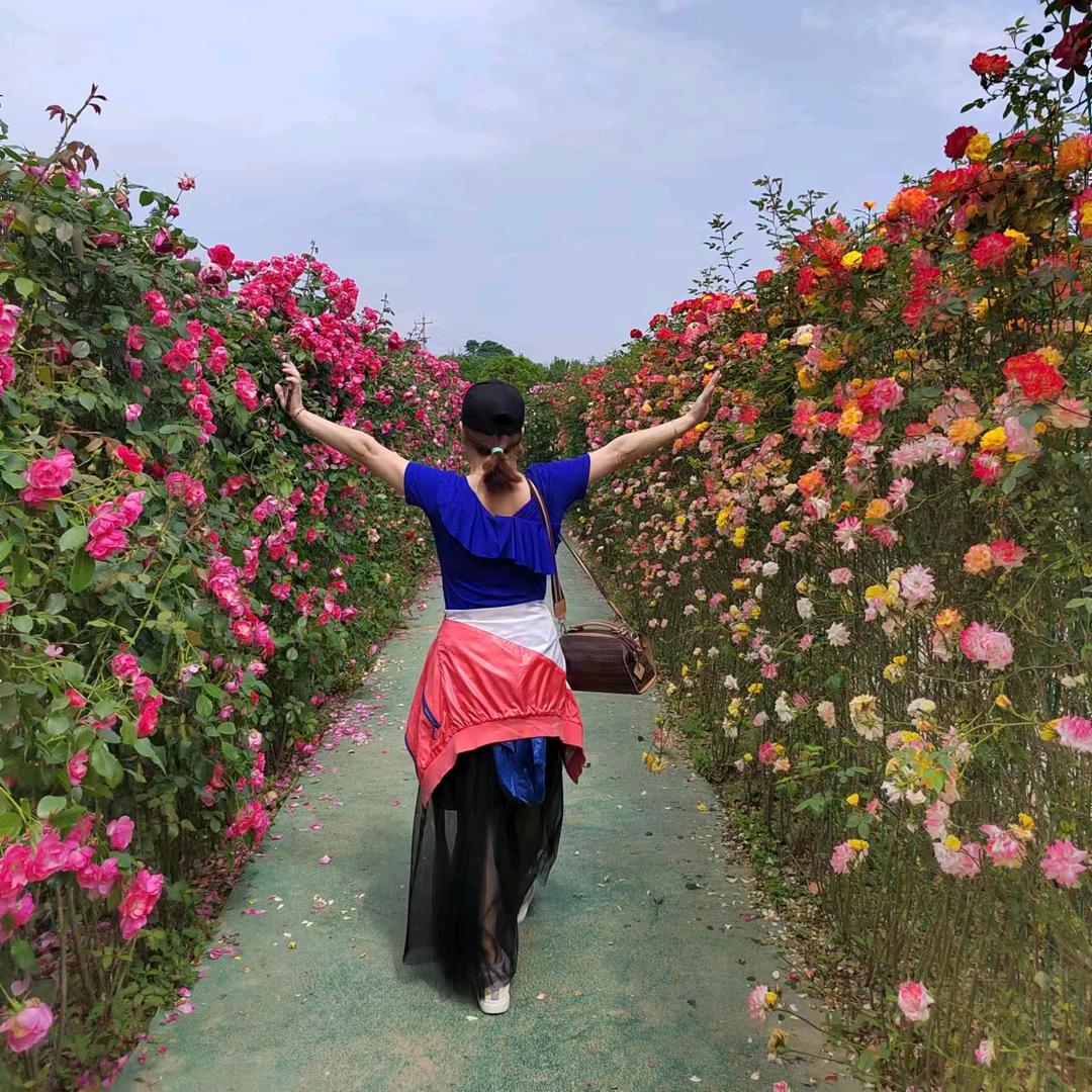 安州考场摩托车梁莉