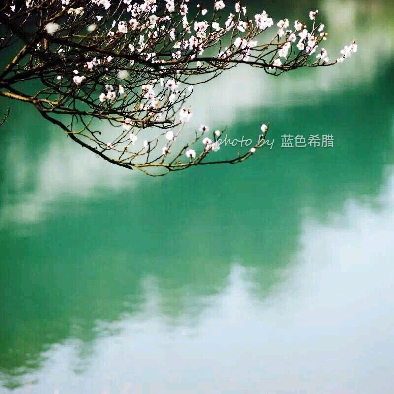 漠漠水田飞白鹭