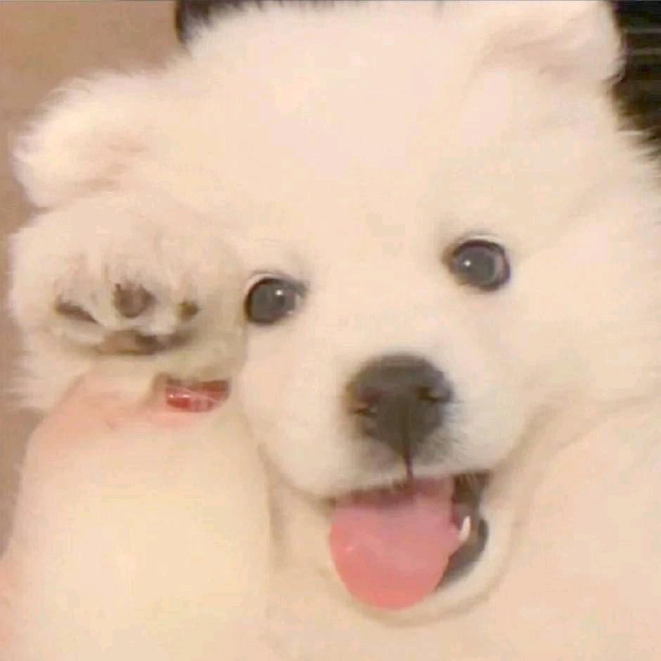 ଘ(੭ˊᵕˋ)੭* ੈ✩