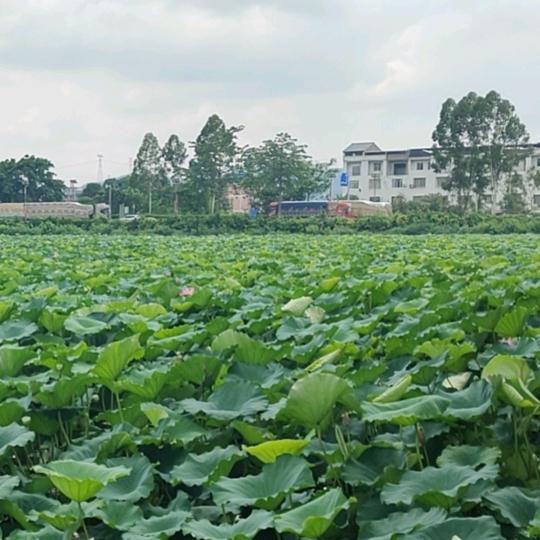 好ᨶ႒ᩚ运ᥫᩣ໌加满٩