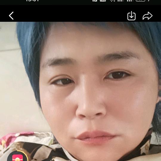 春天的金达莱花