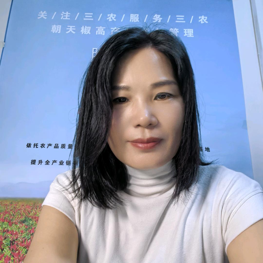 辣椒种植春燕