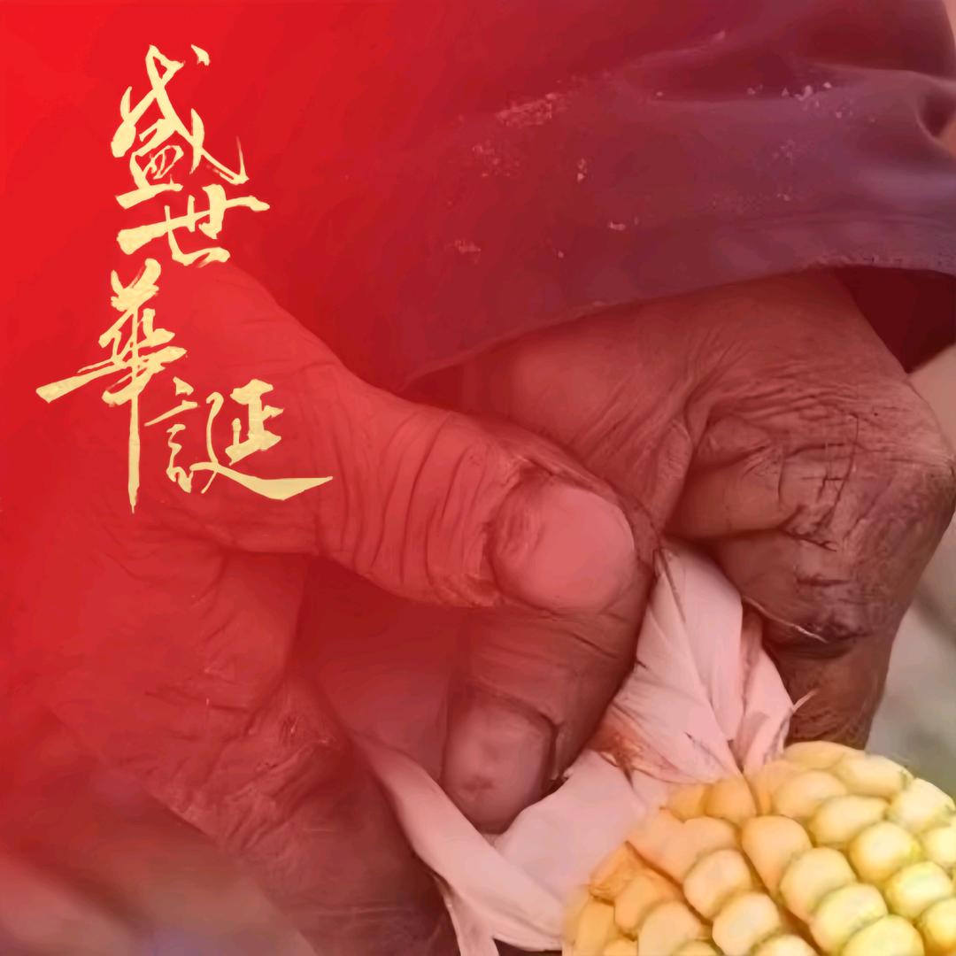 今日头麻【个人号】