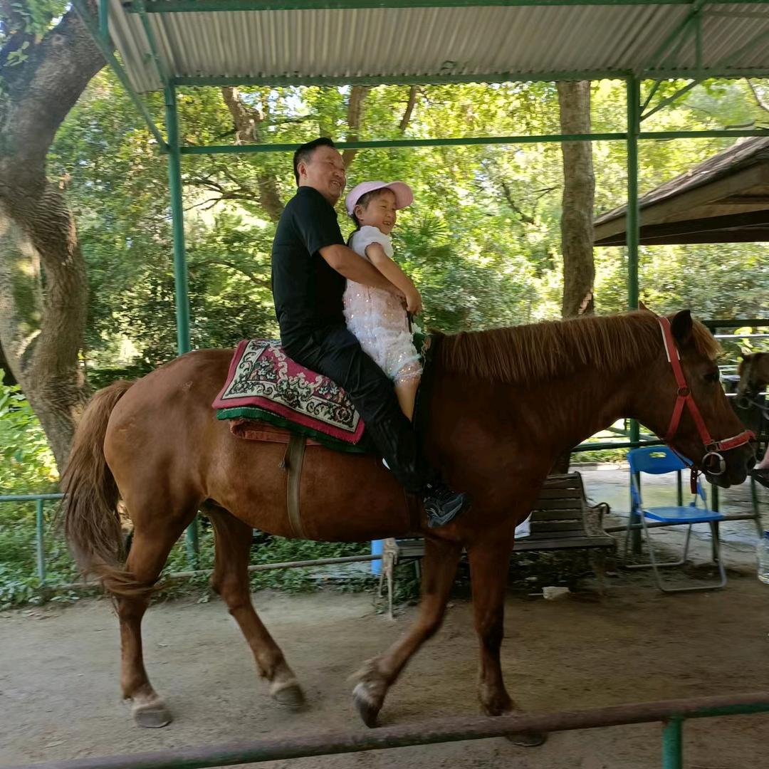 时光吹老少年郎