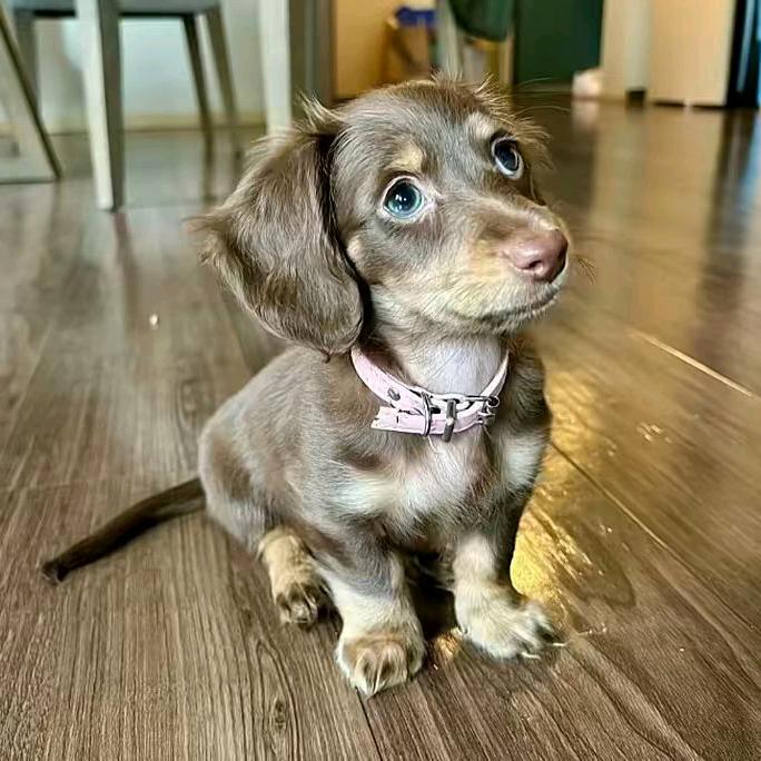 不做深情的舔狗