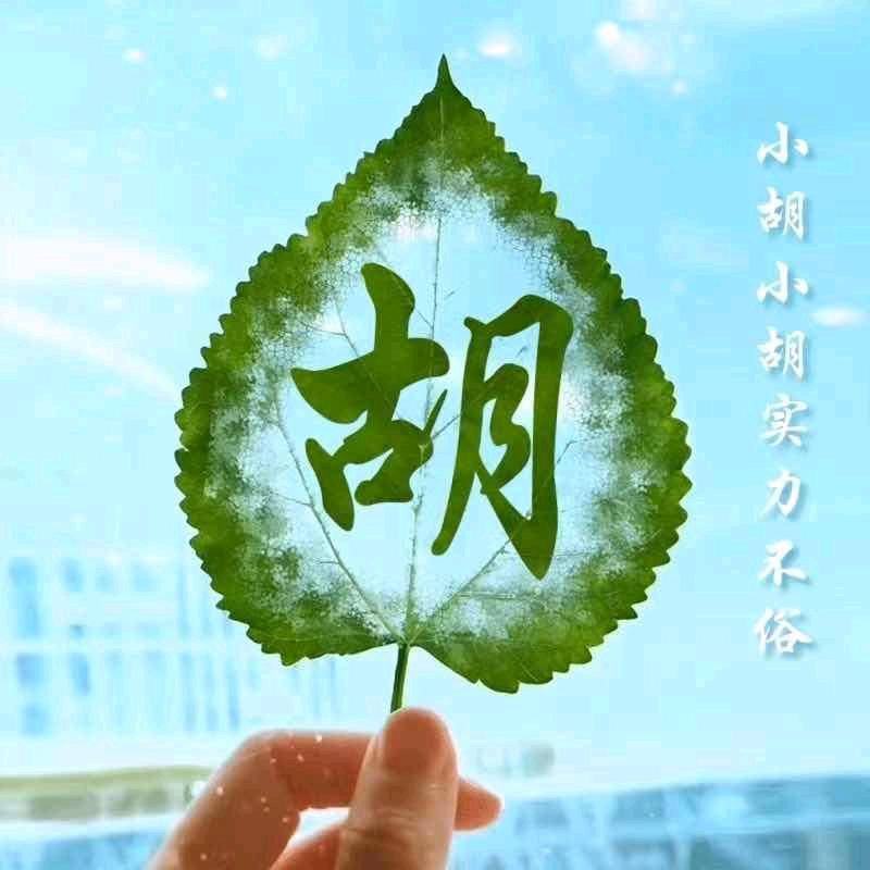 小糊涂仙