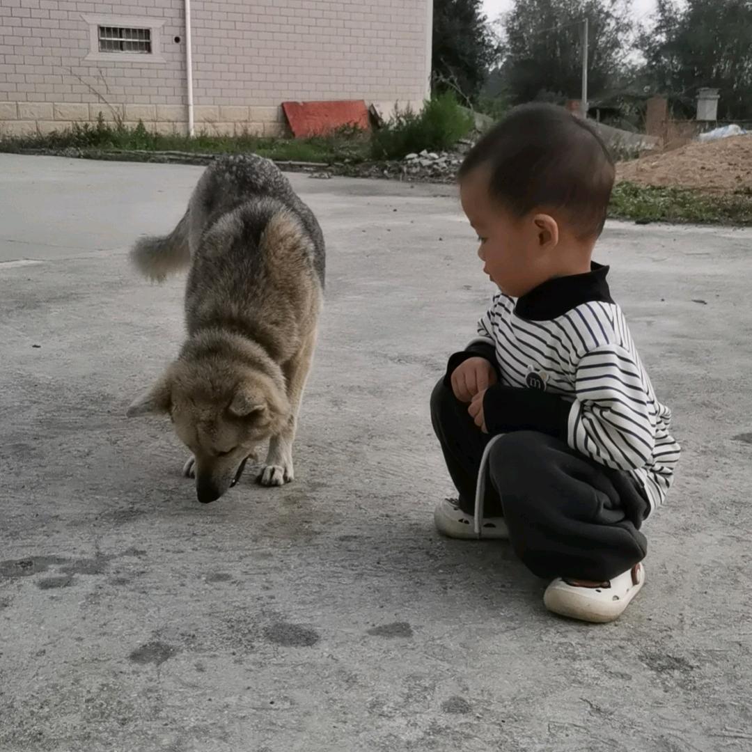 懒虫飞呀飞