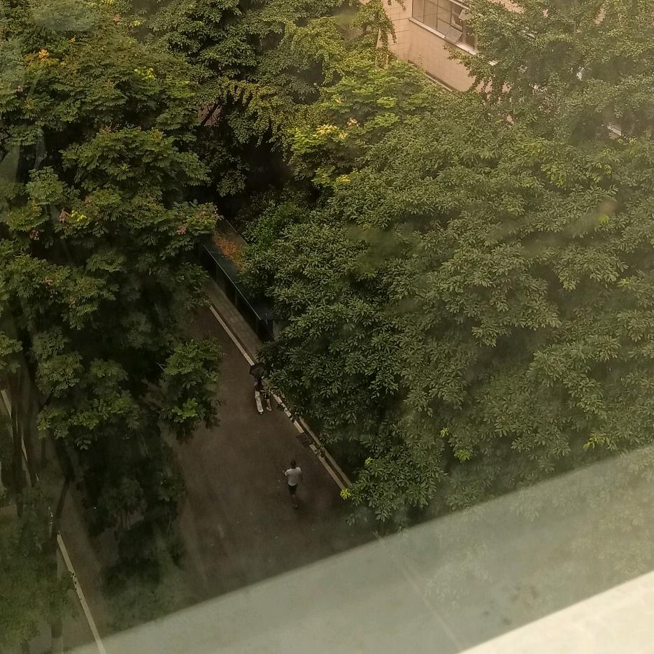 平平淡淡才是真