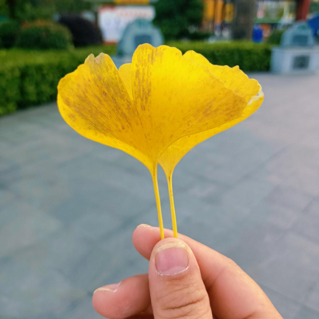 川❤️小川❤️