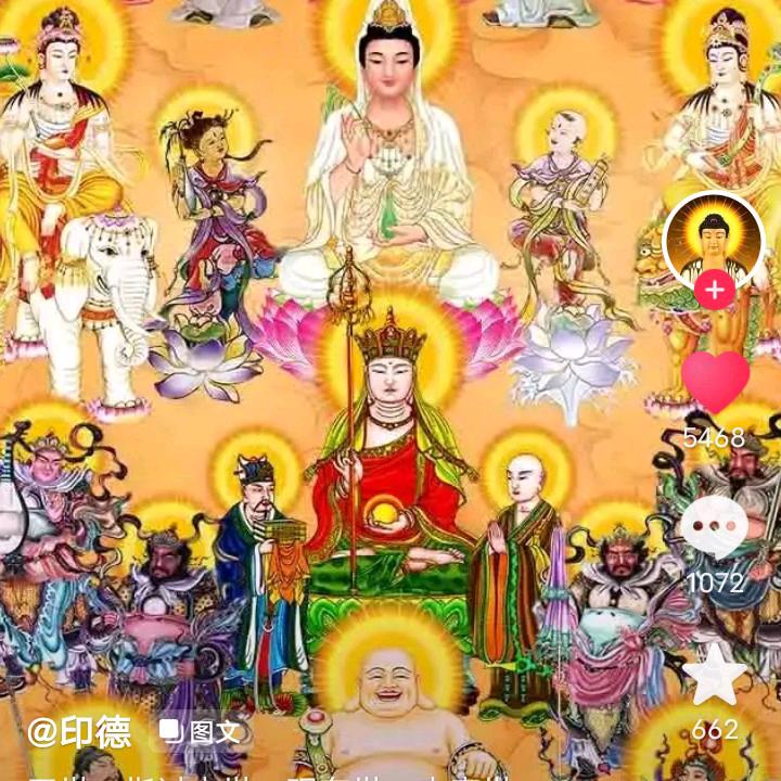 草原花蕾