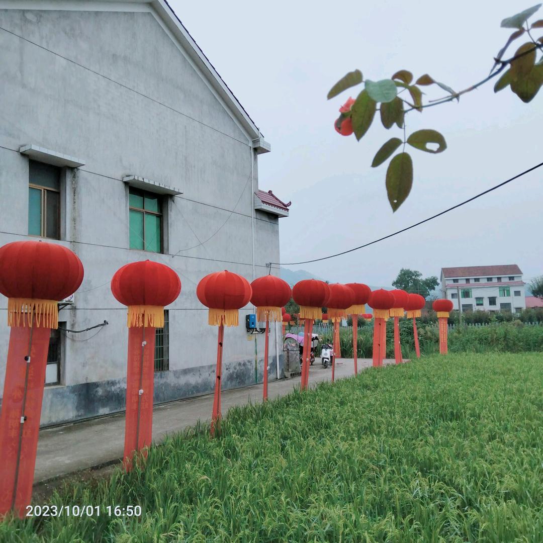 果果萌萌