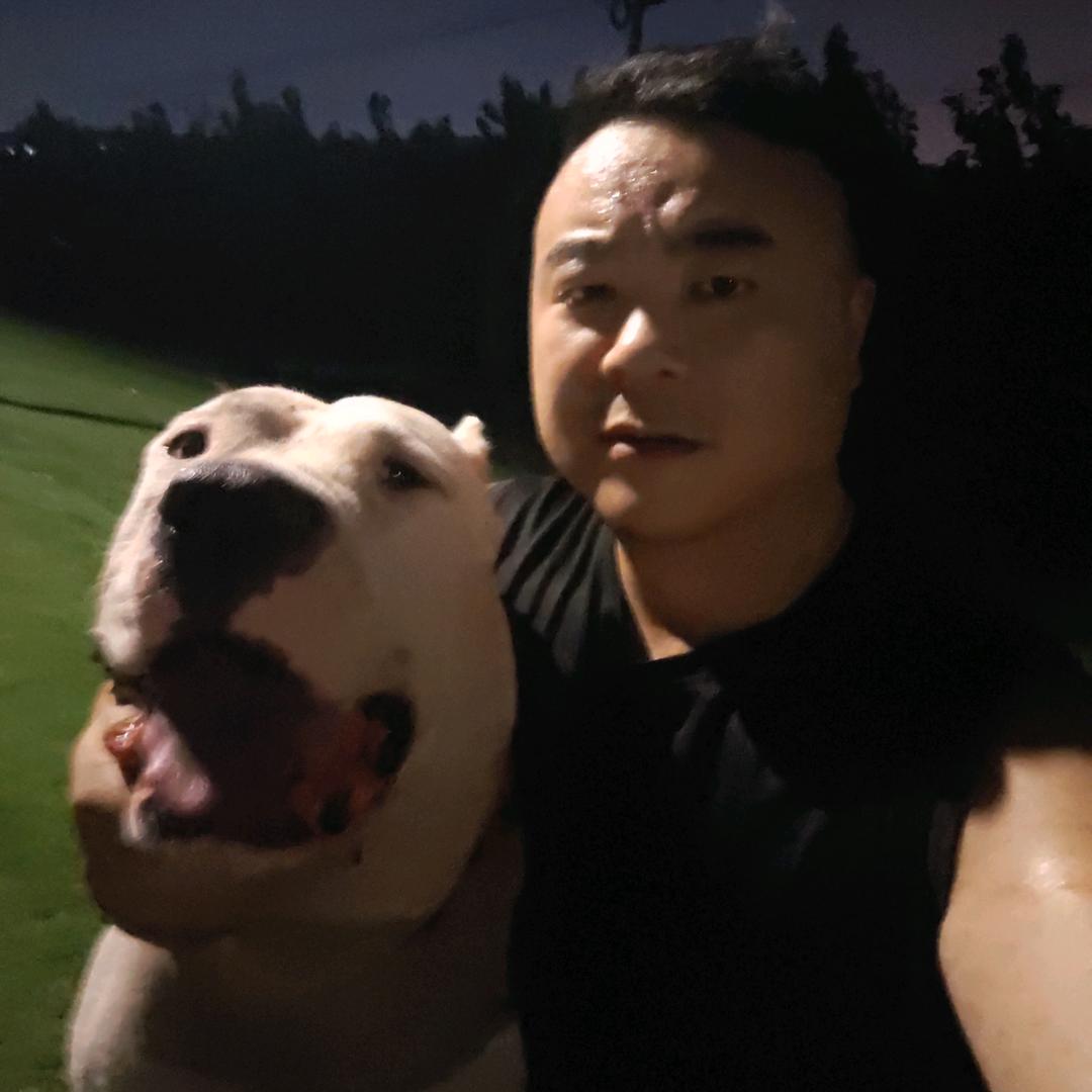 潇洒杜高