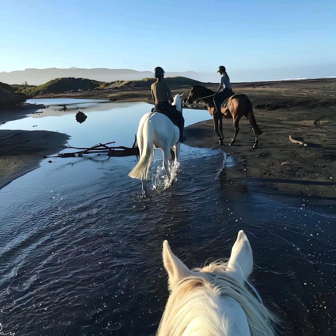 想睡个好觉🦈.