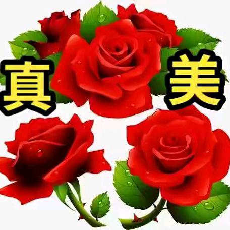 友好
