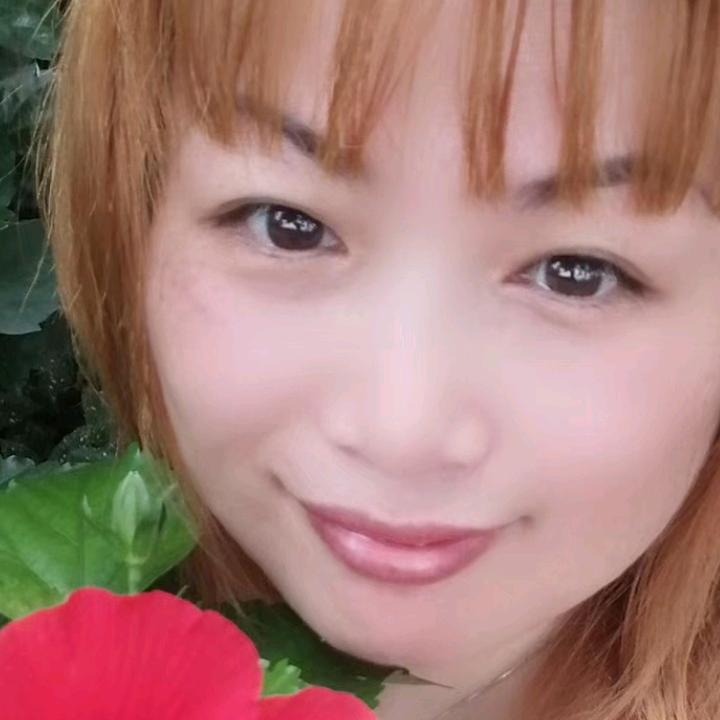 金如意的人生