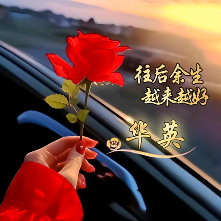 💓ღ᭄华ꦿ英꧔ꦿᩚ💕〈橱窗好物分享〉