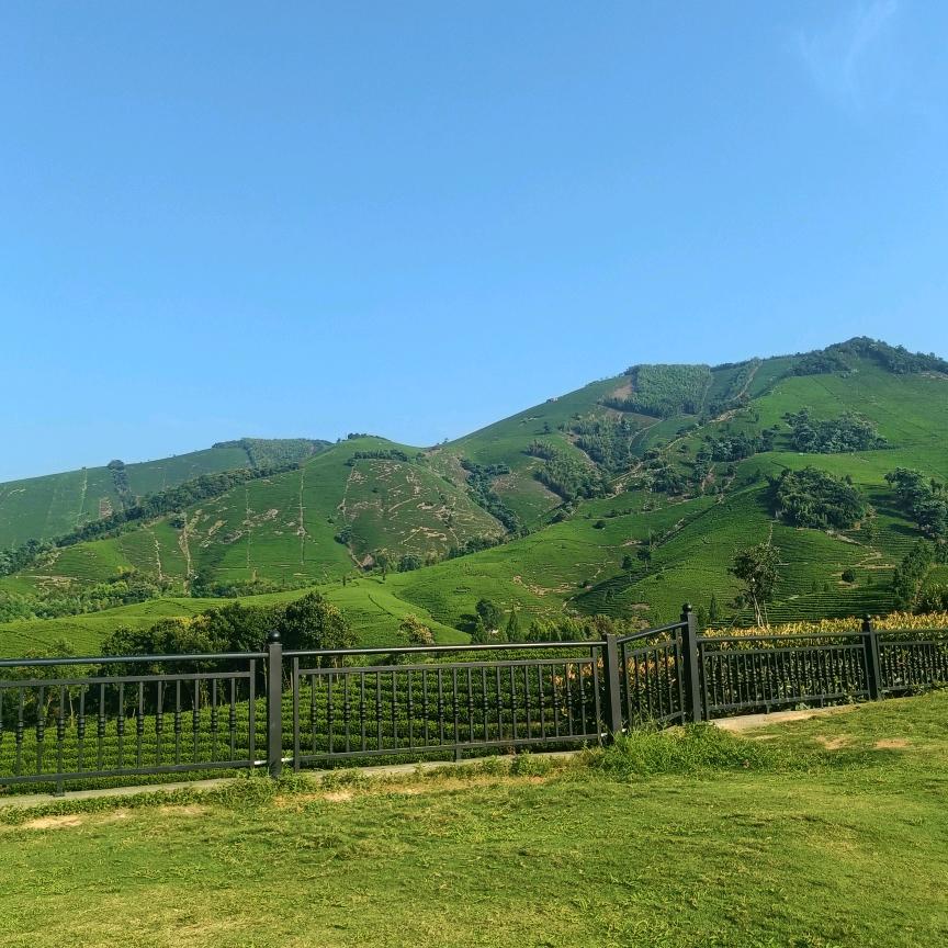 苏州系统门窗熊